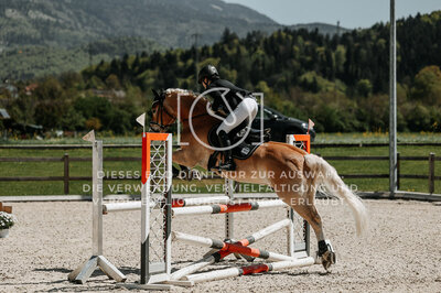 © Niki Buchegger, turnier-fotos.at