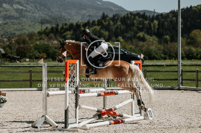 © Niki Buchegger, turnier-fotos.at