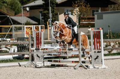 © Niki Buchegger, turnier-fotos.at