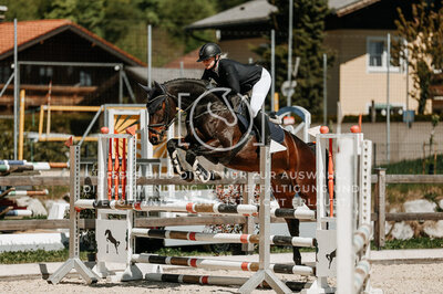 © Niki Buchegger, turnier-fotos.at