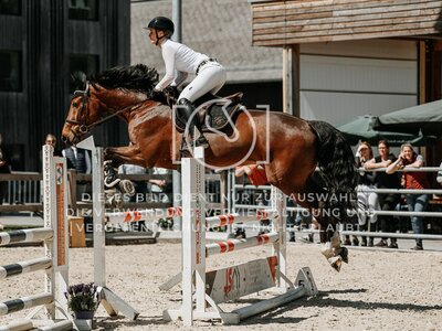 © Niki Buchegger, turnier-fotos.at