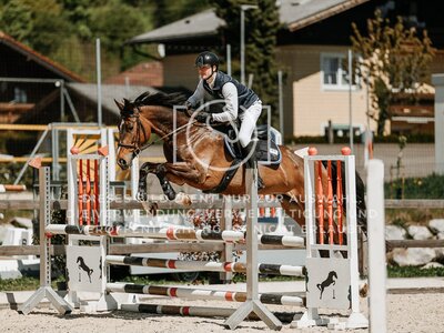 © Niki Buchegger, turnier-fotos.at