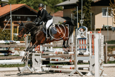 © Niki Buchegger, turnier-fotos.at