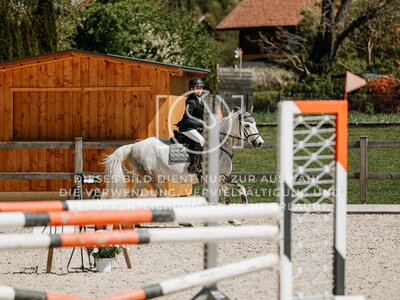 © Niki Buchegger, turnier-fotos.at