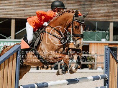 © Niki Buchegger, turnier-fotos.at