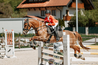 © Niki Buchegger, turnier-fotos.at