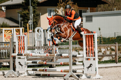 © Niki Buchegger, turnier-fotos.at