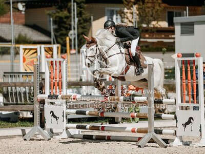 © Niki Buchegger, turnier-fotos.at