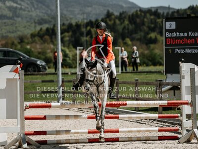 © Niki Buchegger, turnier-fotos.at