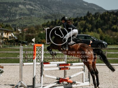 © Niki Buchegger, turnier-fotos.at