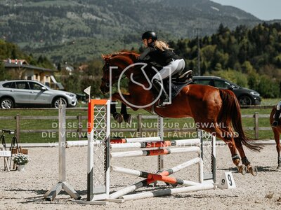 © Niki Buchegger, turnier-fotos.at
