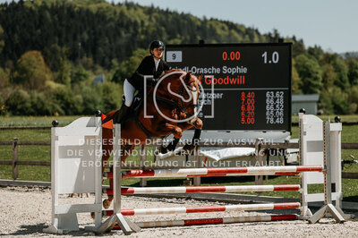 © Niki Buchegger, turnier-fotos.at