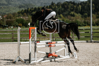 © Niki Buchegger, turnier-fotos.at