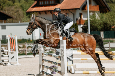 © Niki Buchegger, turnier-fotos.at