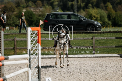 © Niki Buchegger, turnier-fotos.at