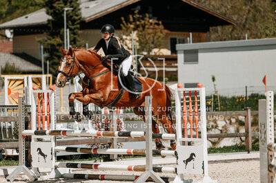 © Niki Buchegger, turnier-fotos.at