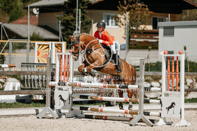 © Niki Buchegger, turnier-fotos.at