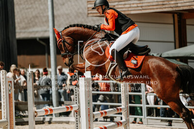 © Niki Buchegger, turnier-fotos.at