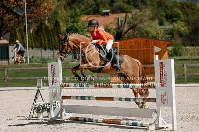 © Niki Buchegger, turnier-fotos.at