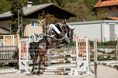 © Niki Buchegger, turnier-fotos.at