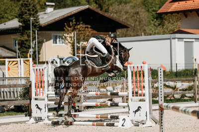 © Niki Buchegger, turnier-fotos.at