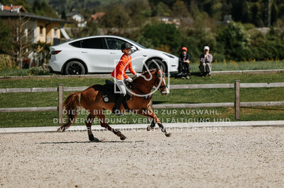 © Niki Buchegger, turnier-fotos.at