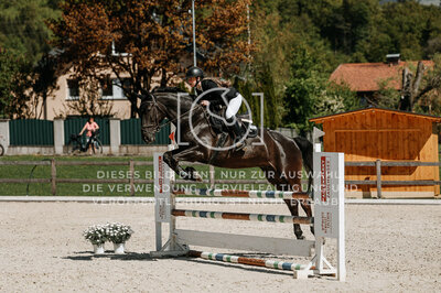 © Niki Buchegger, turnier-fotos.at