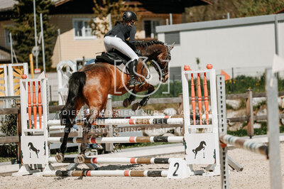 © Niki Buchegger, turnier-fotos.at