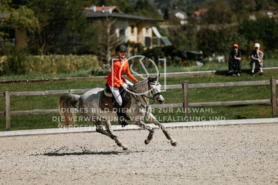 © Niki Buchegger, turnier-fotos.at