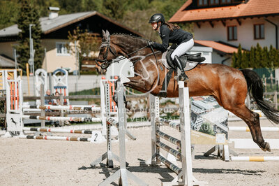© Niki Buchegger, turnier-fotos.at