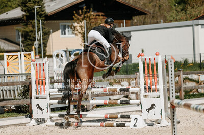 © Niki Buchegger, turnier-fotos.at