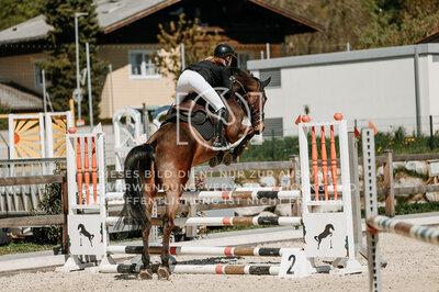© Niki Buchegger, turnier-fotos.at