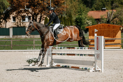 © Niki Buchegger, turnier-fotos.at