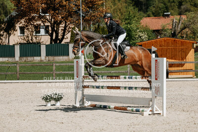 © Niki Buchegger, turnier-fotos.at
