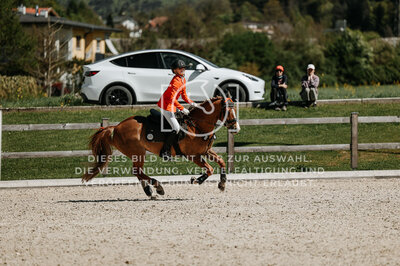 © Niki Buchegger, turnier-fotos.at