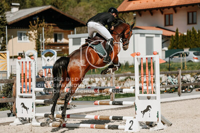 © Niki Buchegger, turnier-fotos.at