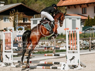 © Niki Buchegger, turnier-fotos.at