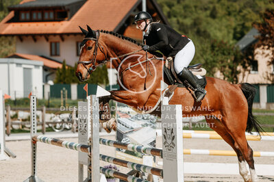© Niki Buchegger, turnier-fotos.at