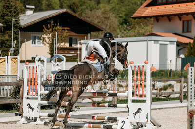 © Niki Buchegger, turnier-fotos.at