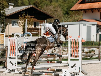 © Niki Buchegger, turnier-fotos.at