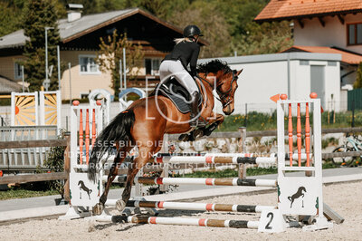 © Niki Buchegger, turnier-fotos.at