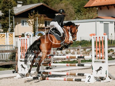 © Niki Buchegger, turnier-fotos.at