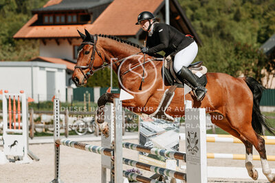 © Niki Buchegger, turnier-fotos.at
