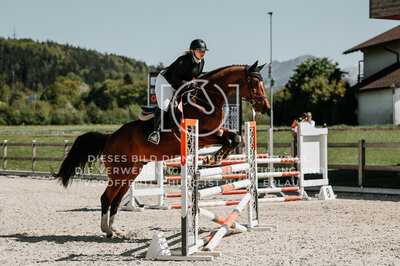 © Niki Buchegger, turnier-fotos.at