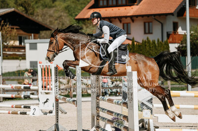 © Niki Buchegger, turnier-fotos.at