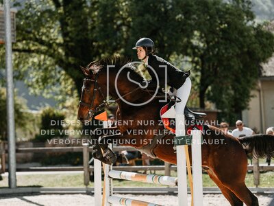 © Niki Buchegger, turnier-fotos.at