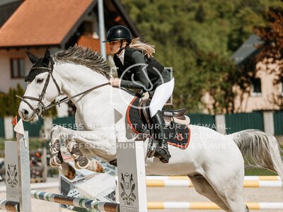 © Niki Buchegger, turnier-fotos.at