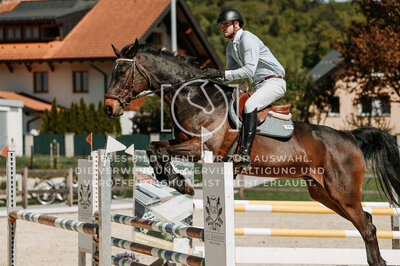 © Niki Buchegger, turnier-fotos.at