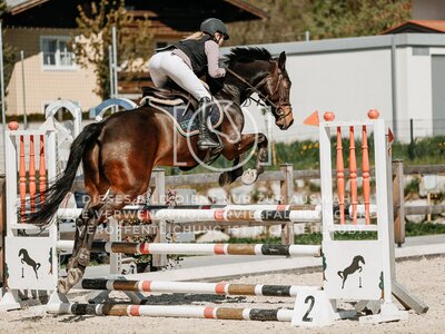 © Niki Buchegger, turnier-fotos.at