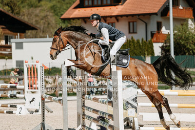 © Niki Buchegger, turnier-fotos.at